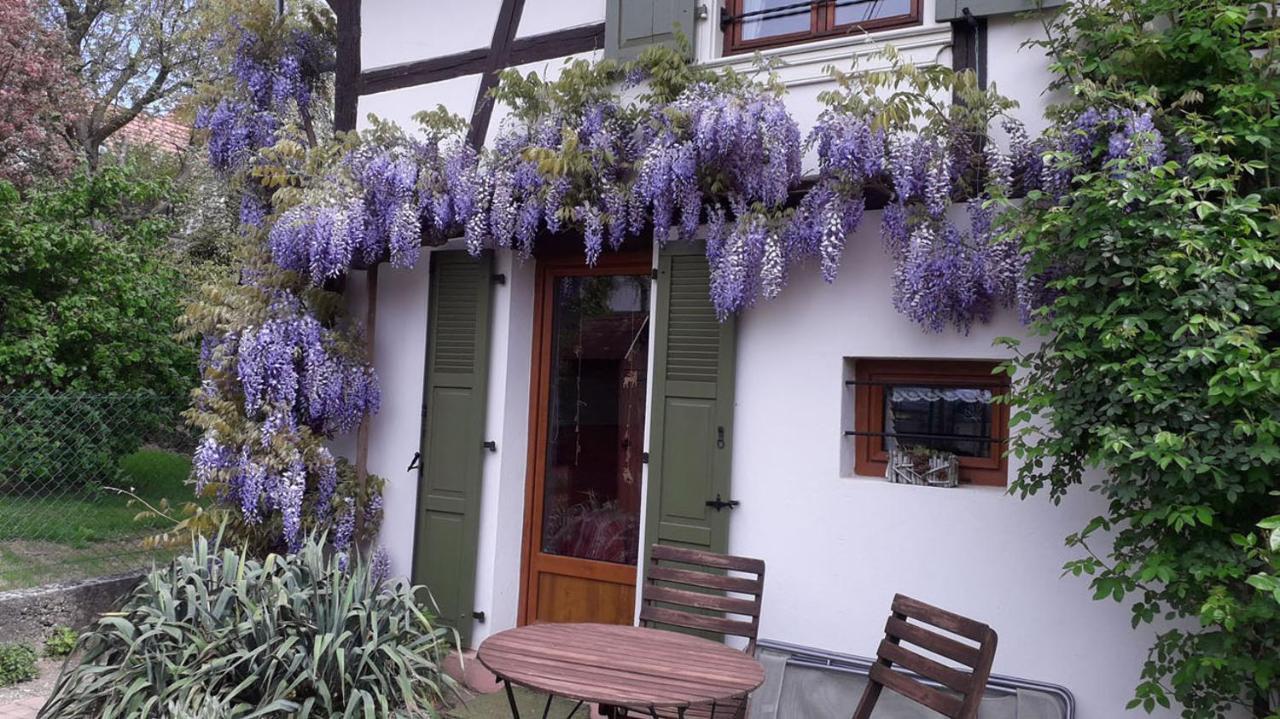 Gitehaushaltermerkwiller Merkwiller-Pechelbronn Exterior foto